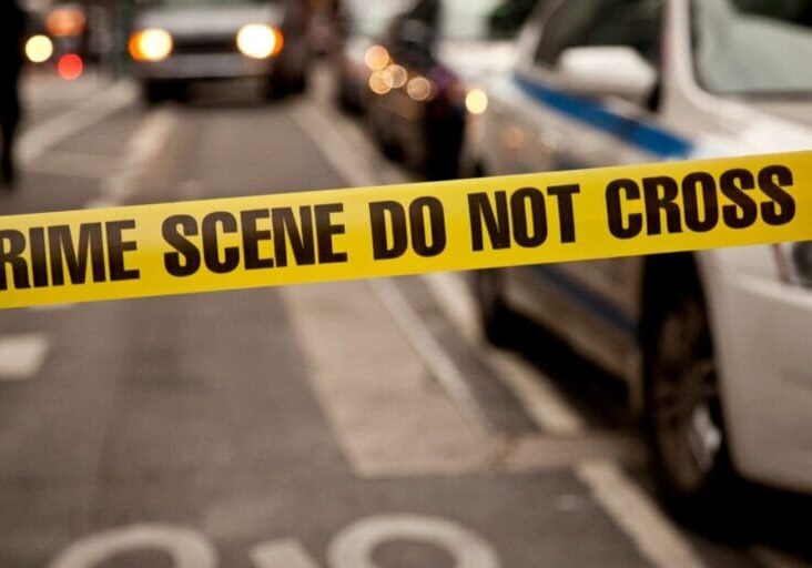 qtq80-wdhaBD-1500x750