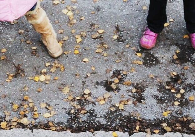 sho-3641-1679-e1620952852410-1500x638